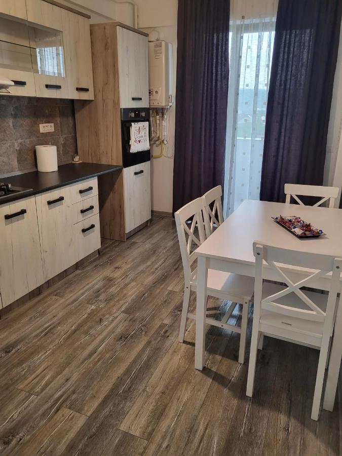 Appartement Apartament Dem Radulescu à Râmnicu Vâlcea Extérieur photo